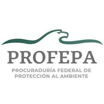 Consultoría ambiental PROFEPA