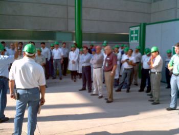 Consultoría industrial